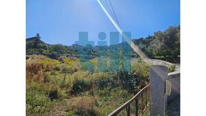 Terreno R�stico - Roli�a, Bombarral, Leiria - Miniatura: 16/22