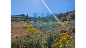 Terreno R�stico - Roli�a, Bombarral, Leiria - Miniatura: 17/22