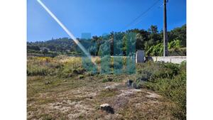 Terreno R�stico - Roli�a, Bombarral, Leiria - Miniatura: 18/22