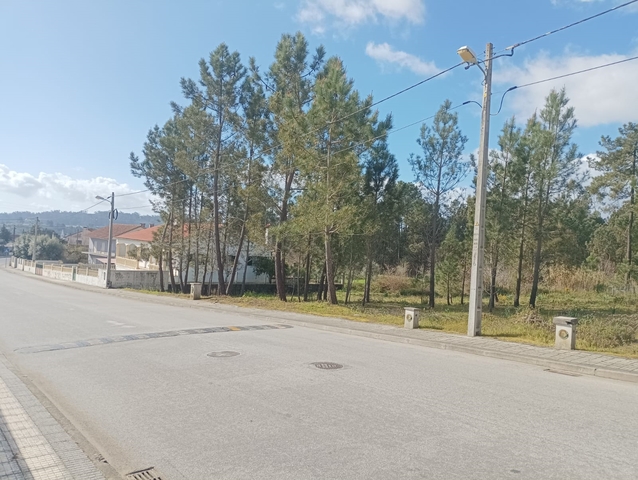 Terreno R�stico - Caxarias, Our�m, Santar�m - Imagem grande