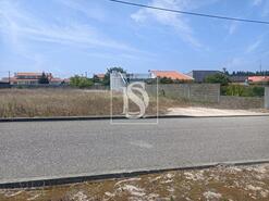 Terreno R�stico - Vieira de Leiria, Marinha Grande, Leiria - Miniatura: 1/5
