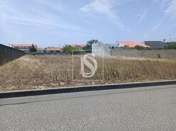 Terreno R�stico - Vieira de Leiria, Marinha Grande, Leiria - Miniatura: 2/5
