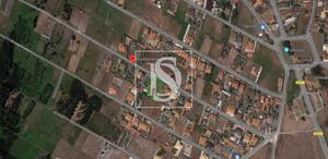 Terreno R�stico - Vieira de Leiria, Marinha Grande, Leiria - Miniatura: 5/5