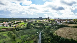Terreno R�stico - Abrunheira, Montemor-o-Velho, Coimbra - Miniatura: 9/10