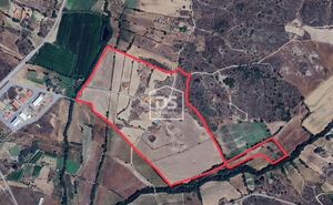 Terreno Rstico T0 - Belmonte e Colmeal da Torre, Belmonte, Castelo Branco - Miniatura: 13/24