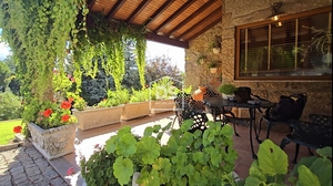 Moradia T4 - Gouveia, Gouveia, Guarda - Miniatura: 32/46