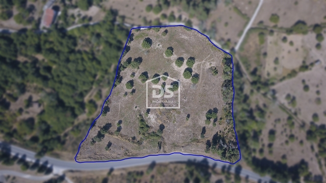 Terreno R�stico T0 - Trancoso, Trancoso, Guarda - Imagem grande
