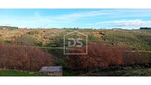 Terreno Rstico T0 - Aldeia do Bispo, Guarda, Guarda - Miniatura: 7/7
