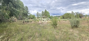 Terreno Rstico T0 - Maanhas, Belmonte, Castelo Branco - Miniatura: 17/24