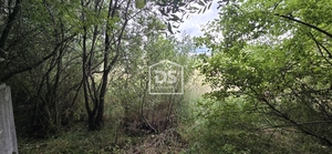 Terreno Rstico T0 - Maanhas, Belmonte, Castelo Branco - Miniatura: 19/24