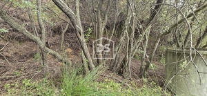 Terreno Rstico T0 - Maanhas, Belmonte, Castelo Branco - Miniatura: 20/24