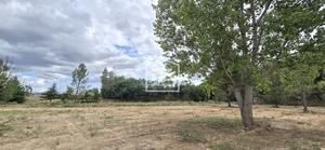 Terreno Rstico T0 - Maanhas, Belmonte, Castelo Branco - Miniatura: 24/24