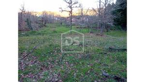 Quinta T0 - Guarda, Guarda, Guarda - Miniatura: 18/21