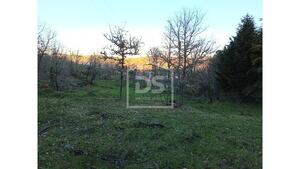 Quinta T0 - Guarda, Guarda, Guarda - Miniatura: 20/21