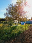 Terreno R�stico T0 - Guarda, Guarda, Guarda - Miniatura: 21/24