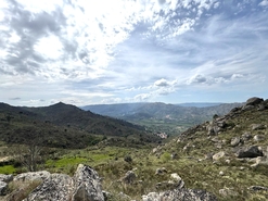 Quinta T0 - Alvendre, Guarda, Guarda - Miniatura: 20/24