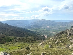 Quinta T0 - Alvendre, Guarda, Guarda - Miniatura: 24/24