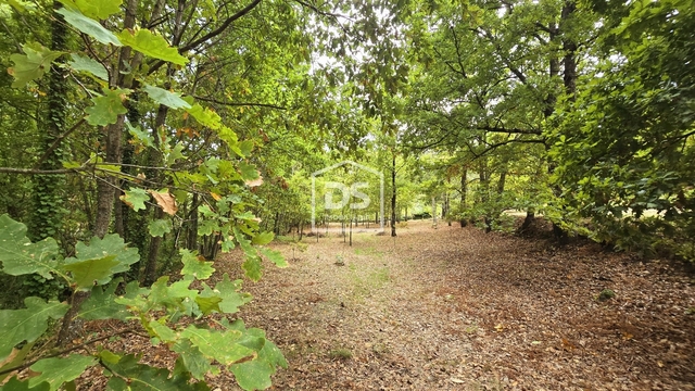 Quinta T3 - Mizarela, Guarda, Guarda - Imagem grande