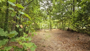 Quinta T3 - Mizarela, Guarda, Guarda