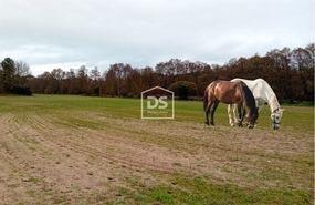 Quinta T0 - Lajeosa do Mondego, Celorico da Beira, Guarda
