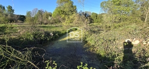 Terreno Rstico T0 - Guarda, Guarda, Guarda - Miniatura: 9/14