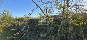 Terreno R�stico T0 - Guarda, Guarda, Guarda - Miniatura: 14/24