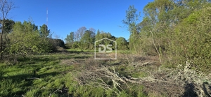 Terreno R�stico T0 - Guarda, Guarda, Guarda - Miniatura: 18/24