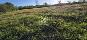 Terreno R�stico T0 - Guarda, Guarda, Guarda - Miniatura: 20/24