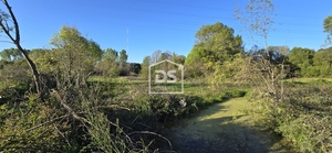 Terreno R�stico T0 - Guarda, Guarda, Guarda - Miniatura: 21/24