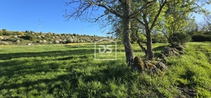 Terreno R�stico T0 - Guarda, Guarda, Guarda - Miniatura: 23/24