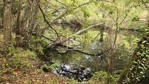 Quinta T3 - Mizarela, Guarda, Guarda - Miniatura: 1/24