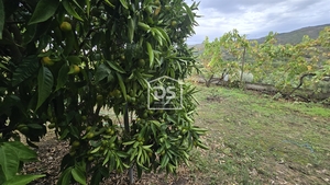 Quinta T3 - Mizarela, Guarda, Guarda - Miniatura: 3/24