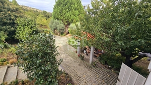 Quinta T3 - Mizarela, Guarda, Guarda - Miniatura: 5/24