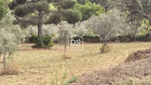 Quinta T3 - Mizarela, Guarda, Guarda - Miniatura: 15/24