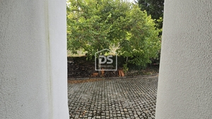 Quinta T3 - Mizarela, Guarda, Guarda - Miniatura: 21/24