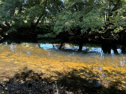 Quinta T0 - Lajeosa do Mondego, Celorico da Beira, Guarda - Miniatura: 3/16