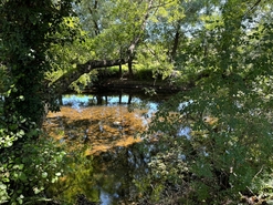 Quinta T0 - Lajeosa do Mondego, Celorico da Beira, Guarda - Miniatura: 4/16