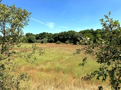 Quinta T0 - Lajeosa do Mondego, Celorico da Beira, Guarda - Miniatura: 5/16