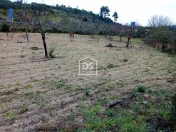 Quinta T0 - Lajeosa do Mondego, Celorico da Beira, Guarda - Miniatura: 8/16