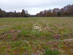 Quinta T0 - Lajeosa do Mondego, Celorico da Beira, Guarda - Miniatura: 9/16