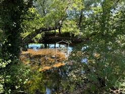 Quinta T0 - Lajeosa do Mondego, Celorico da Beira, Guarda - Miniatura: 15/16