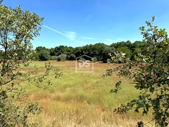 Quinta T0 - Lajeosa do Mondego, Celorico da Beira, Guarda - Miniatura: 16/16