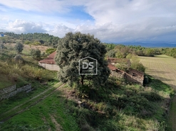 Quinta T0 - Lajeosa do Mondego, Celorico da Beira, Guarda - Miniatura: 4/24