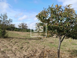 Quinta T0 - Lajeosa do Mondego, Celorico da Beira, Guarda - Miniatura: 13/24