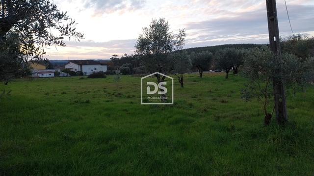 Terreno R�stico T0 - Soure, Soure, Coimbra - Imagem grande
