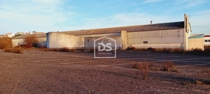 Armaz�m T0 - Guarda, Guarda, Guarda - Miniatura: 22/24