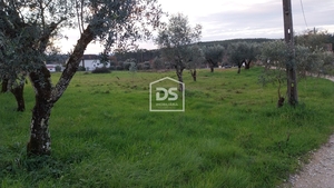 Terreno Rstico T0 - Soure, Soure, Coimbra - Miniatura: 1/7