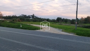 Terreno Rstico T0 - Soure, Soure, Coimbra - Miniatura: 2/7