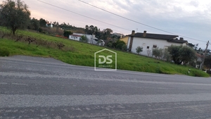 Terreno Rstico T0 - Soure, Soure, Coimbra - Miniatura: 3/7