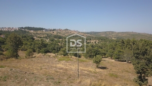 Terreno R�stico T0 - Trancoso, Trancoso, Guarda - Miniatura: 4/7